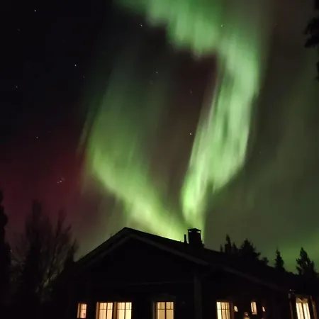 Arctic Mustikka Lejlighed *
