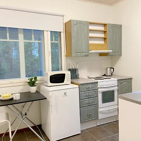 Arctic Mustikka Muonio